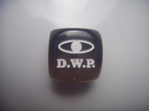 DSCN5013