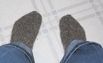 Herdwick-socks-on117