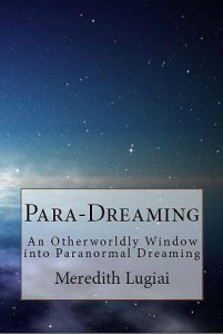Para-Dreaming Book Image