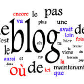 vincentvirgine.over-blog.com