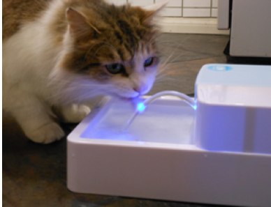 CatFountain