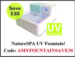 FountainAdvert
