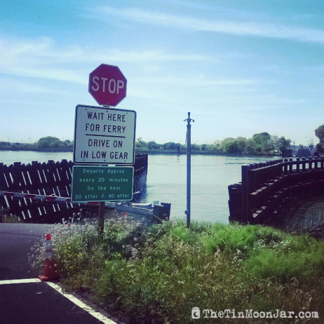 Ferry #2 | Delta Bike Tour | A blog series exploring a two day road bike tour around the Sacramento Delta. Includes route maps and pics. JamieThornton.com #deltabiketour