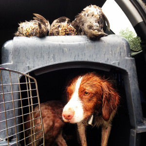 Misty was the star of the show. She had seven productive points. Too bad my shooting did live up to her performance. 