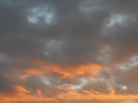 DSCN5090