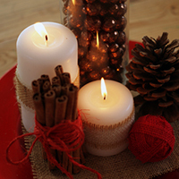 Holiday Table Centerpiece