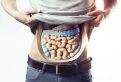 gut-microbiome-diabetes