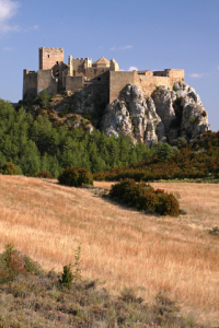 c/o dreamstime.com Castle of Mantovar