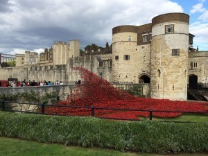 At Tower of London, poppies memorializing the fallen in World War 1.
