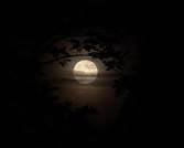 Mabon Moon
