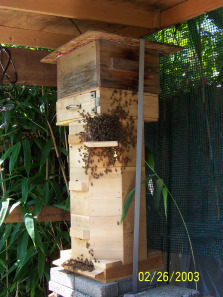 From the happy kingdom.