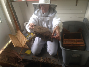 More Freyja. Note all the bees down on the floor by my knees.