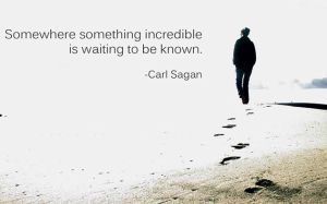 10626606_443536672452064_1971280780109189351_n