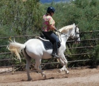 UPcanter_bvc