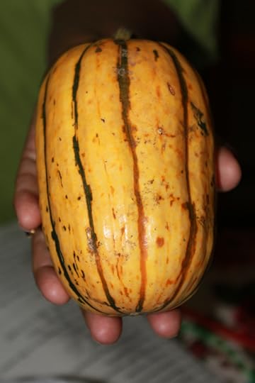 Delicata Squash
