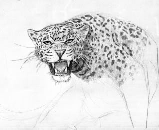 Photobucket Pictures, Images and Photos