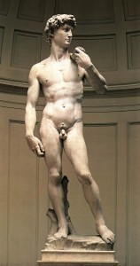david