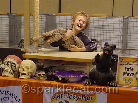 You can tell he loves cats