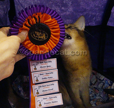 They need to make these ribbons out of something edible