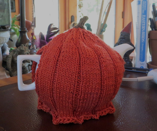 PumpkinTeaCozy