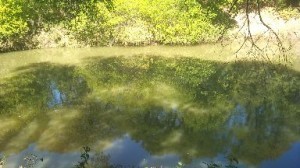 riveroffice