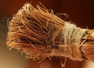 hemp