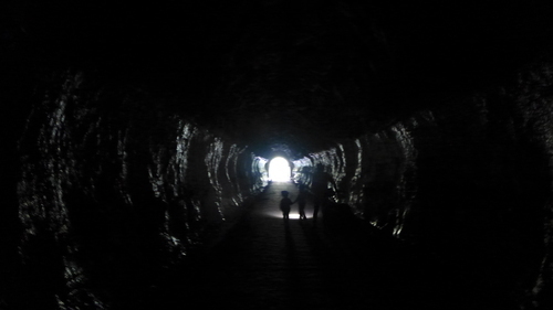 Family walking ahead