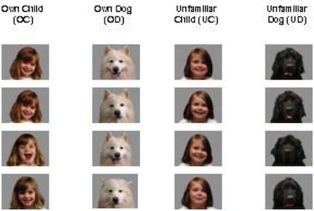 dogs-kids-images