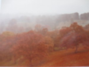 fall landscape3