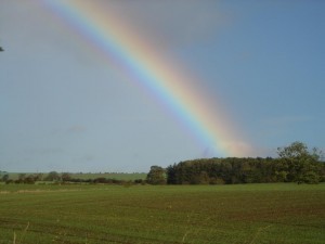 image courtesy of photobucket.com