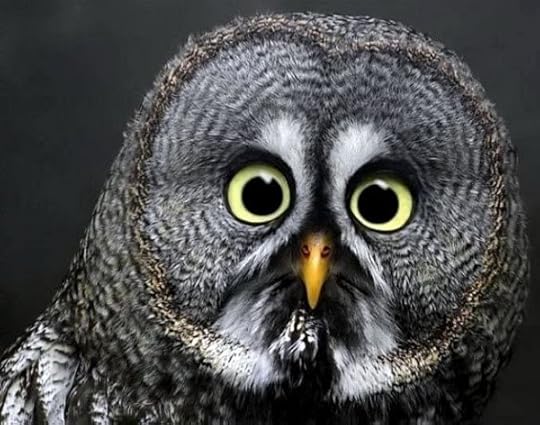  photo 1226178543AdP1m1Y.jpg