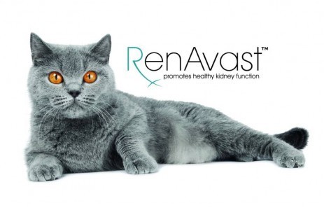 RenAvast_kidney_function