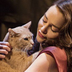 breakfast-at-tiffanys-cat
