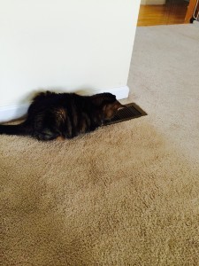 I wish Mother would make the air colder. 