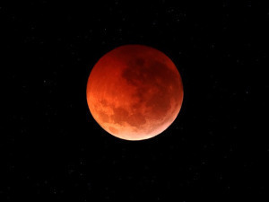 Blood Moon...for the hell of looking at it.