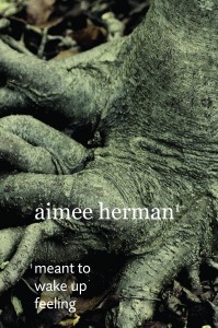 meant to wake up feeling front cover