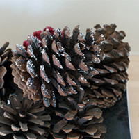 Glittery Pine Cones