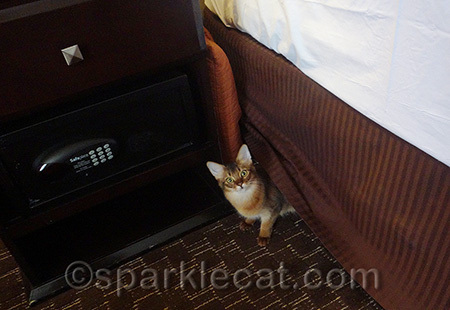 The bed skirt was my favorite play area!