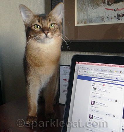 She also worked on her own stuff, when I gave the okay