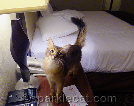 Yes, my human left a tip!