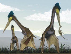 Pterasaurs on the ground.