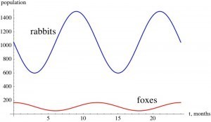 Rabbit and Fox populations graphs