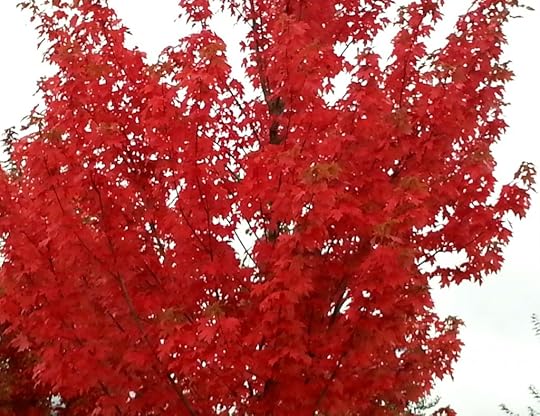 Whistler in the fall
