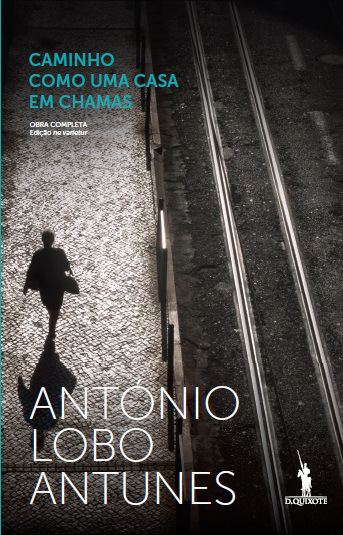 Caminho Como Uma Casa Em Chamas