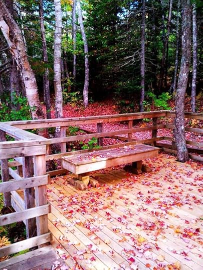 10702011_10152792181479553_5403434861439882311_n