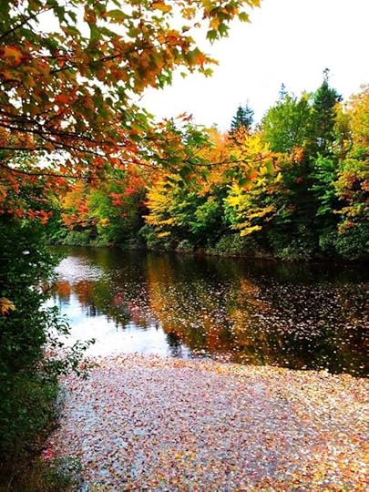 10676285_10152792181919553_4790774154671598896_n