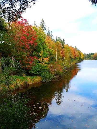 10675684_10152792183839553_9208453518058902017_n