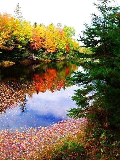 10675564_10152792181174553_896281781125228779_n