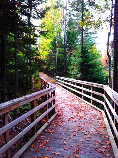 10659203_10152792183374553_7365063823893335418_n