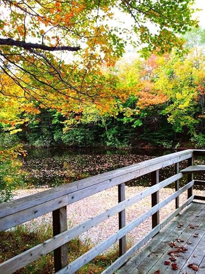 10614384_10152792182709553_1422136469854463634_n